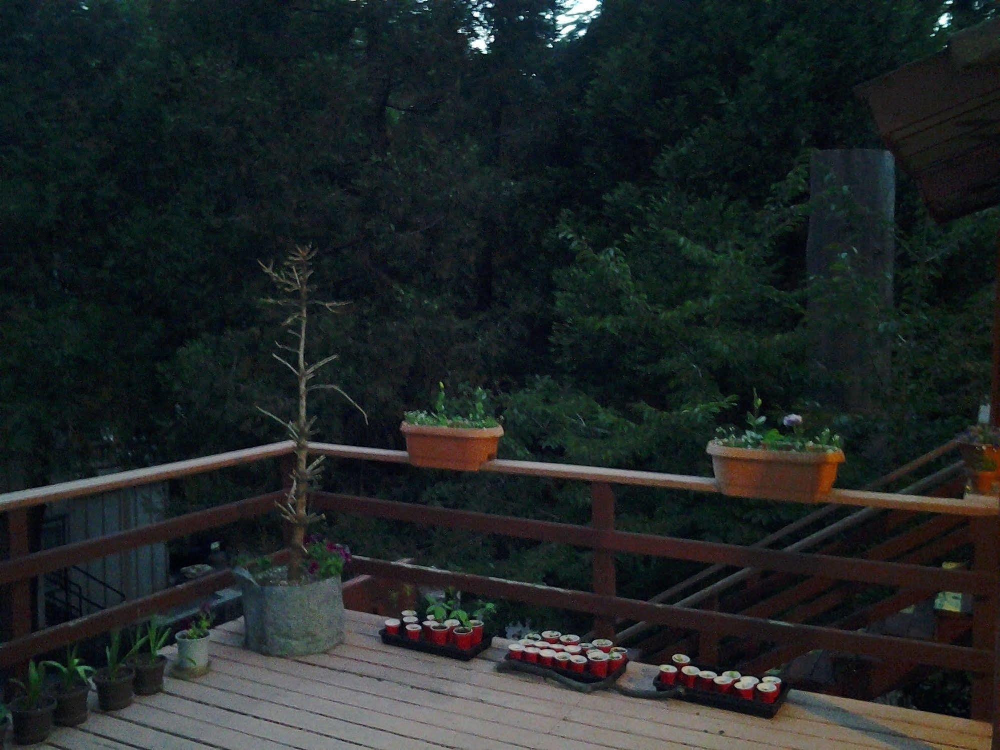 Arrowhead Mountain Inn Lake Arrowhead Dış mekan fotoğraf